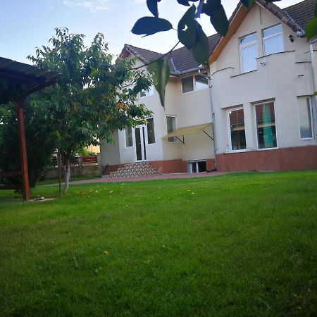 Hotel Vila Roy à Turda Extérieur photo